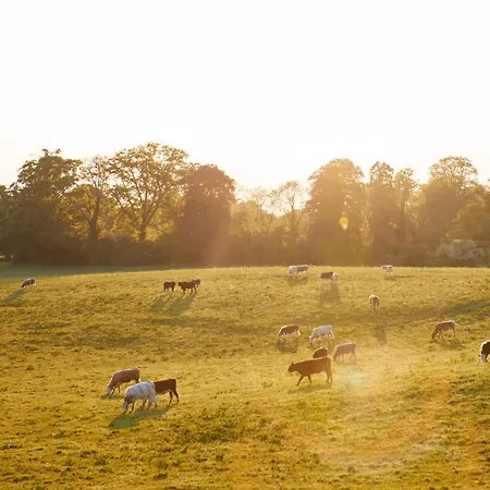 Дом отдыха Loughcrew Courtyard House *