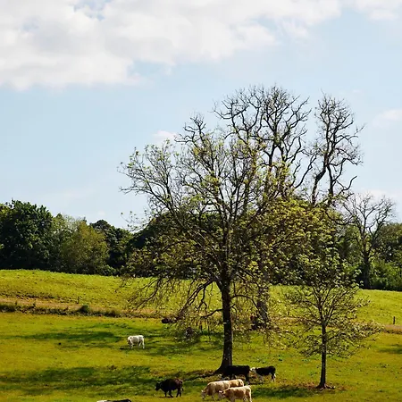 Loughcrew Courtyard House * Oldcastle